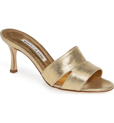Shop Manolo Blahnik Iacopo Mule Sandal In Gold