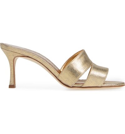 Shop Manolo Blahnik Iacopo Mule Sandal In Gold