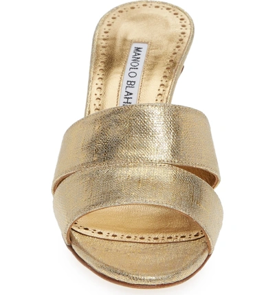 Shop Manolo Blahnik Iacopo Mule Sandal In Gold