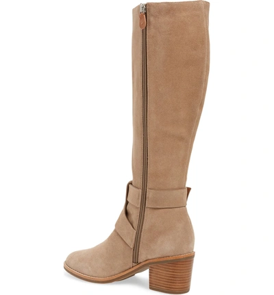 Shop Gentle Souls By Kenneth Cole Verona Knee-high Riding Boot In Camel Suede