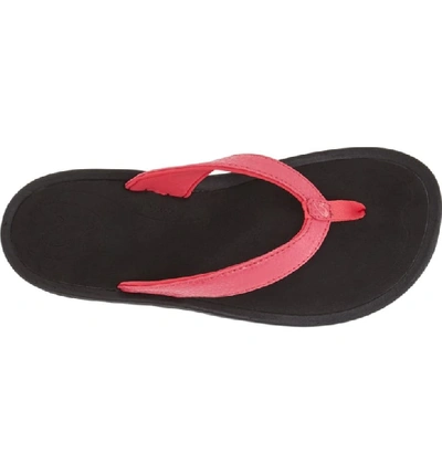 Shop Olukai 'kulapa Kai' Thong Sandal In Fuchsia/ Black