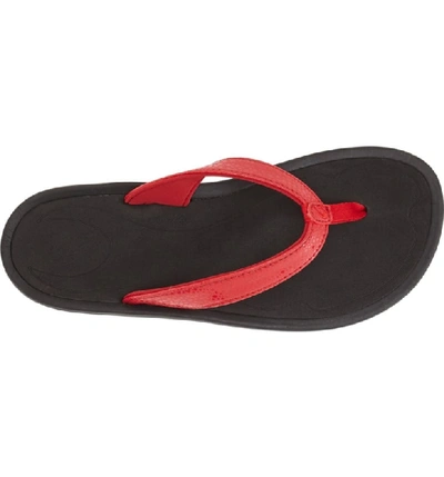 Shop Olukai 'kulapa Kai' Thong Sandal In Crimson