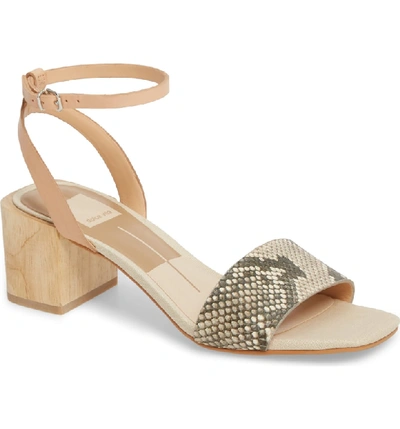 Shop Dolce Vita Zarita Blunted Toe Sandal In Snake Print