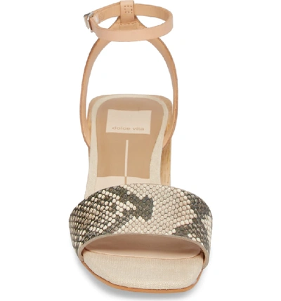 Shop Dolce Vita Zarita Blunted Toe Sandal In Snake Print