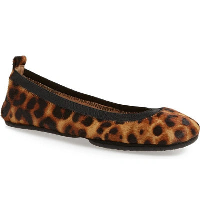 Shop Yosi Samra Samara Foldable Ballet Flat In Tan Leopard Calf Hair