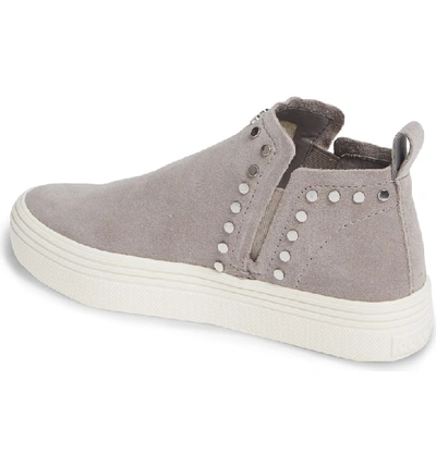 Dolce vita tate sneakers on sale