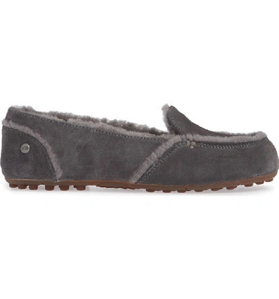 Shop Ugg Hailey Slipper In Charcoal Suede