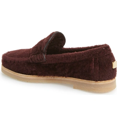 Shop Stuart Weitzman Bromley Genuine Shearling Loafer In Cabernet Chicago