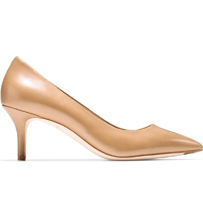 Shop Cole Haan Vesta Pointy Toe Pump In Nude Leather