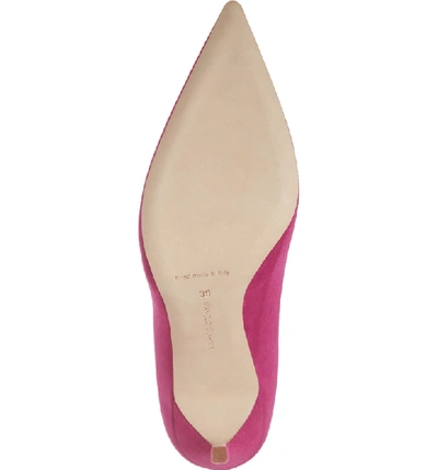 Shop Manolo Blahnik 'bb' Pointy Toe Pump In Magenta