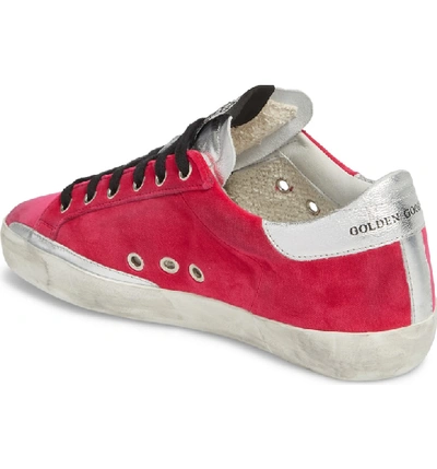 Shop Golden Goose Superstar Low Top Sneaker In Fuchsia/ Black