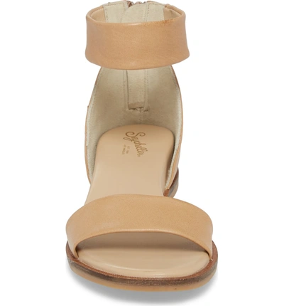Shop Seychelles Ankle Strap Sandal In Vacchetta Leather