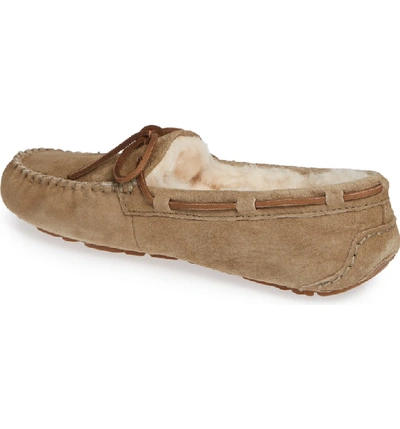 Shop Ugg Dakota Water Resistant Slipper In Antelope