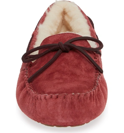 Shop Ugg Dakota Water Resistant Slipper In Redwood