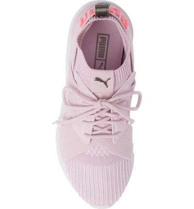 Puma Women's Muse Evoknit Lace Up Sneakers In Winsome Orchid-winsome Orchid  | ModeSens