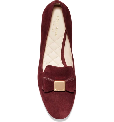 Shop Cole Haan Tali Bow Loafer In Cordovan Suede