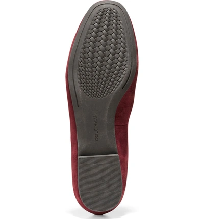 Shop Cole Haan Tali Bow Loafer In Cordovan Suede