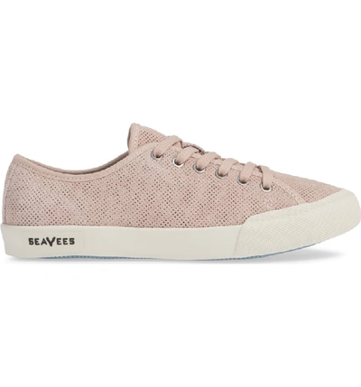 Shop Seavees Monterey Sneaker In Rose Dust