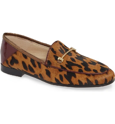 Shop Sam Edelman Lior Genuine Calf Hair Loafer In Clouded Leopard Calf Hair