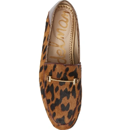 Shop Sam Edelman Lior Genuine Calf Hair Loafer In Clouded Leopard Calf Hair