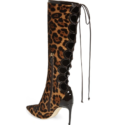 Shop Brian Atwood Vixen Lace Up Genuine Calf Hair Boot In Natural Classic Haircalf