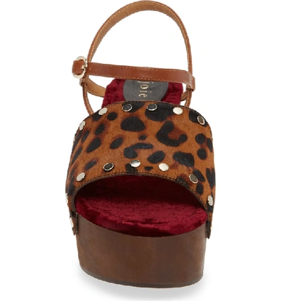 Shop Joie Galla Genuine Calf Hair Sandal In Leopard