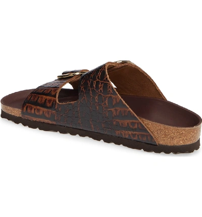 Shop Birkenstock Arizona Big Buckle Slide Sandal In Gator Brown Leather