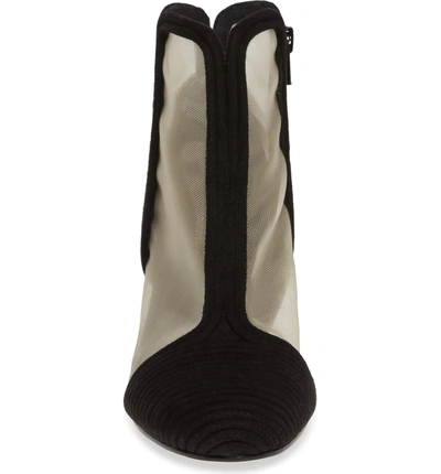 Cecelia New York Neely Bootie In Black Suede ModeSens