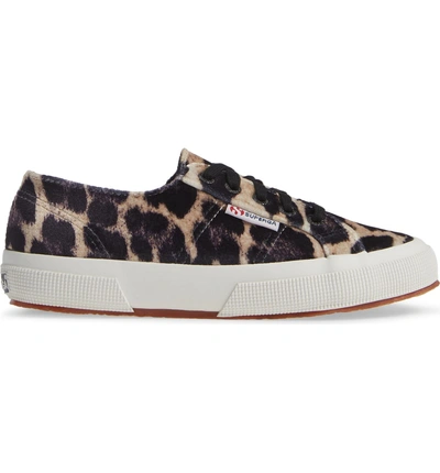 superga leopard velvet sneakers