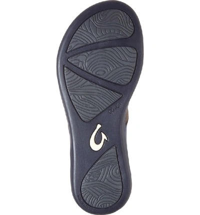 Shop Olukai 'ho Opio' Leather Flip Flop In Blue Leather