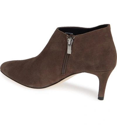 Shop Pelle Moda 'yelm' Almond Toe Bootie In Mink Suede