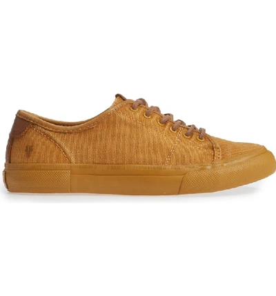 Shop Frye Gia Low Lace-up Sneaker In Sunrise Canvas