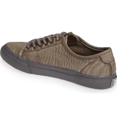 Shop Frye Gia Low Lace-up Sneaker In Grey/ Grey Canvas