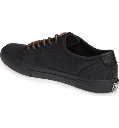 Shop Frye Gia Low Lace-up Sneaker In Black/ Black Canvas