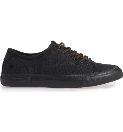 Shop Frye Gia Low Lace-up Sneaker In Black/ Black Canvas