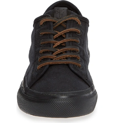 Shop Frye Gia Low Lace-up Sneaker In Black/ Black Canvas