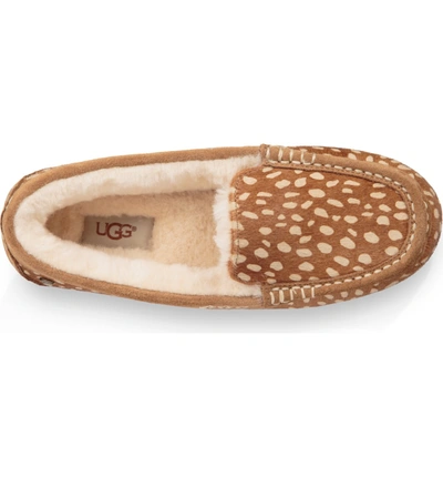 Ugg Ansley Idyllwild Genuine Calf Hair Slipper In Chestnut | ModeSens