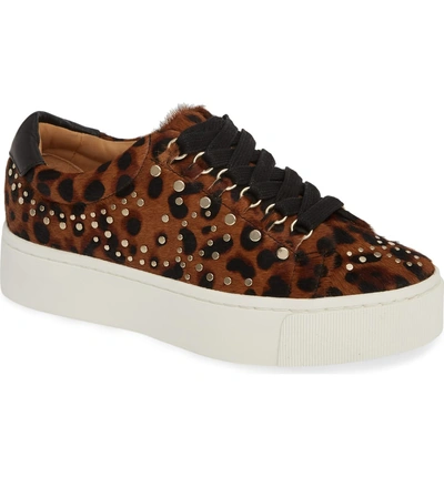 Shop Joie Handan Genuine Calf Hair Sneaker In Leopard