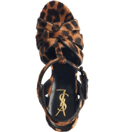 Shop Saint Laurent Tribute Sandal In Leopard Calf Hair