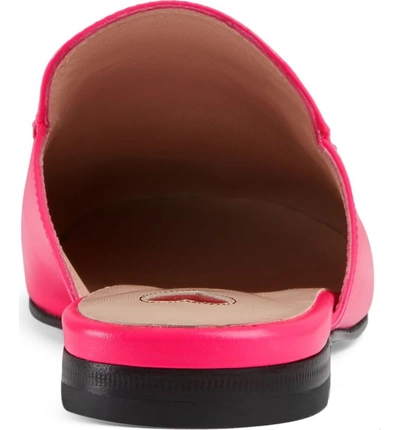 Shop Gucci Princetown Loafer Mule In Fuschia Fluo