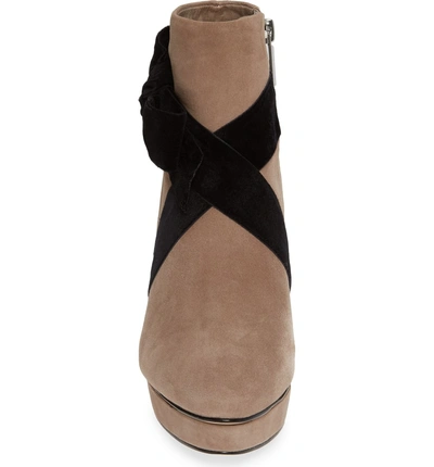 Shop Karl Lagerfeld Malia Bootie In Taupe Suede