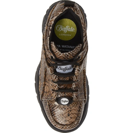 Shop Junya Watanabe X Buffalo London Python Print Platform Sneaker In Beige