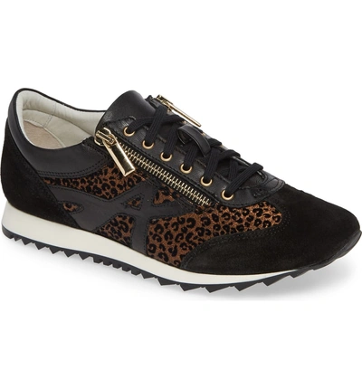 Shop Amalfi By Rangoni Fabrizio Sneaker In Black/ Leopard