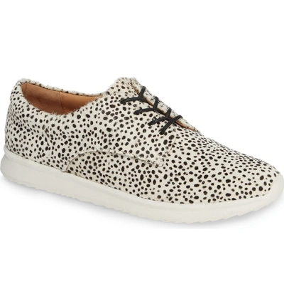 Shop Rollie Sport Genuine Calf Hair Derby In Snow Leopard Calf Hair