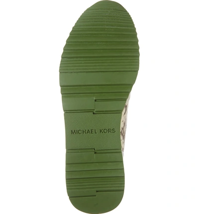 Shop Michael Michael Kors Allie Trainer Sneaker In Green Multi Snake Print