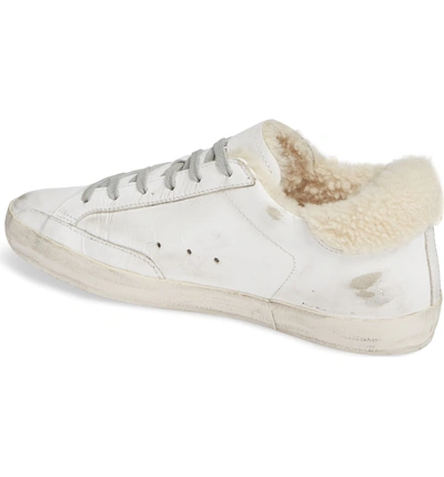 Shop Golden Goose Superstar Genuine Shearling Trim Sneaker In White/ Shearling