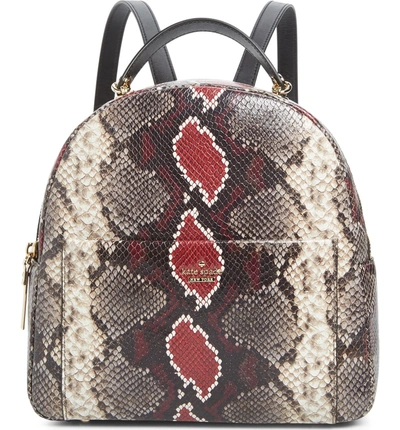 Shop Kate Spade Reese Park - Ethel Snake Embossed Leather Backpack - Brown In Multi