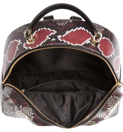 Shop Kate Spade Reese Park - Ethel Snake Embossed Leather Backpack - Brown In Multi