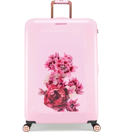 Shop Ted Baker Large Splendour Print 32-inch Hard Shell Spinner Suitcase - Pink