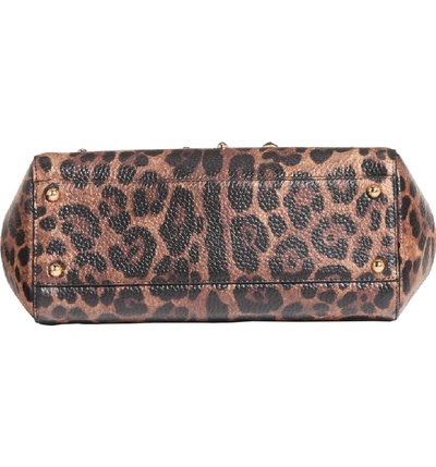 Shop Dolce & Gabbana Medium Miss Sicily - Love Leo Satchel - Brown In Leopard Print/ Black